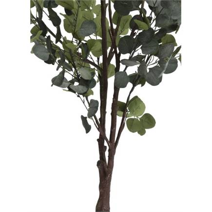 Coco Maison Eucalyptus Tree kunstplant H180cm